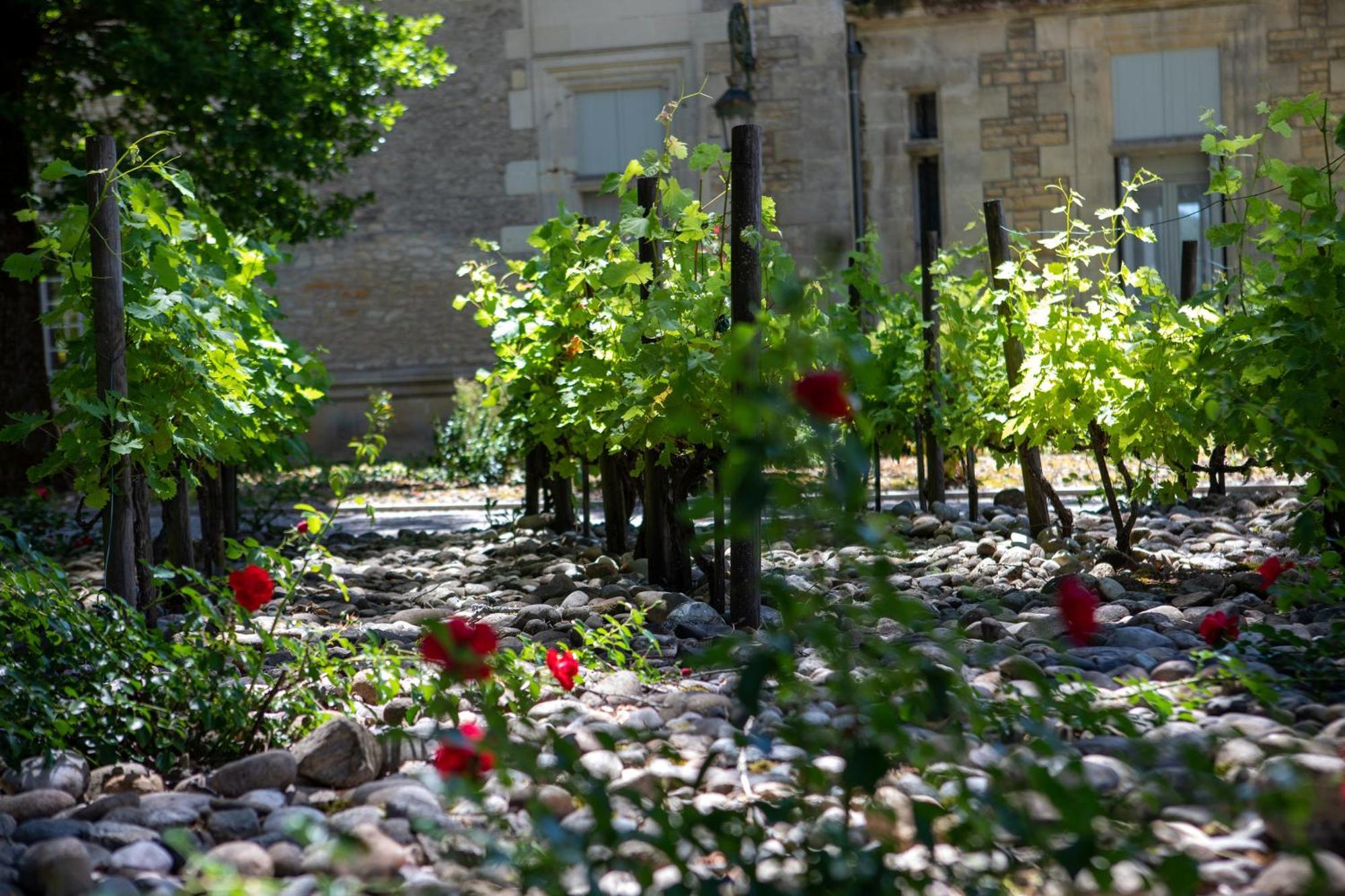 Domaine De Monrecour - Hotel & Restaurant - Proche De Sarlat Saint-Vincent-de-Cosse 외부 사진